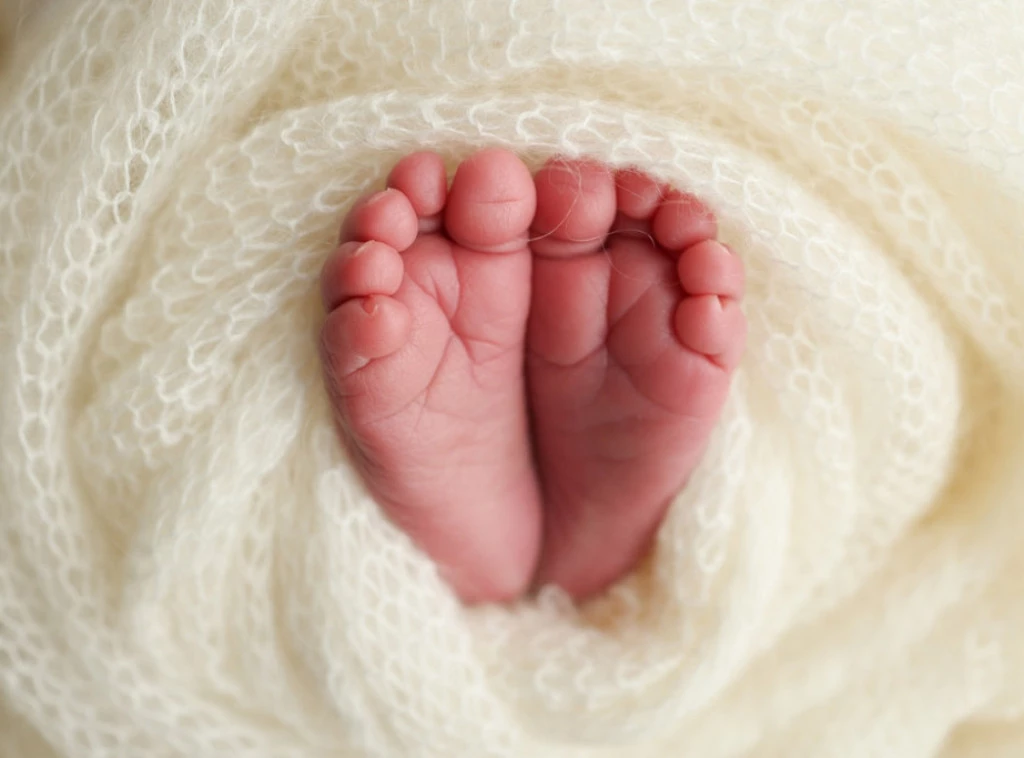 338955_shutterstock-2475270181_f.webp