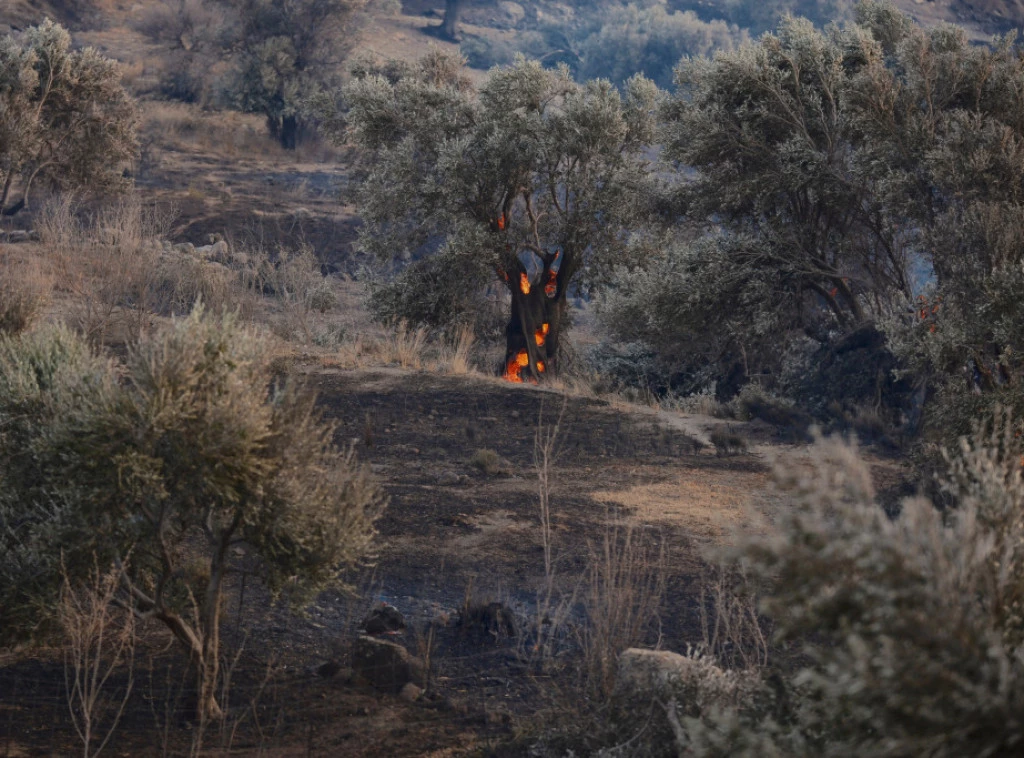 409376_greece-wildfire_f.webp