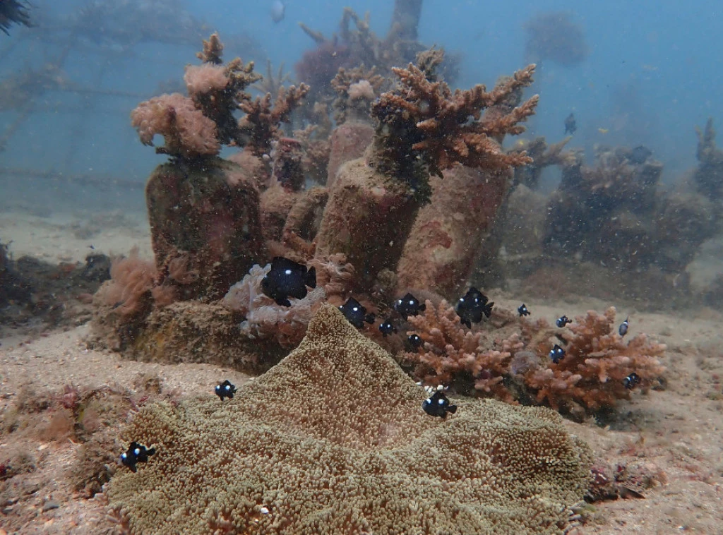 410693_kenya-oceans-conference_f.webp