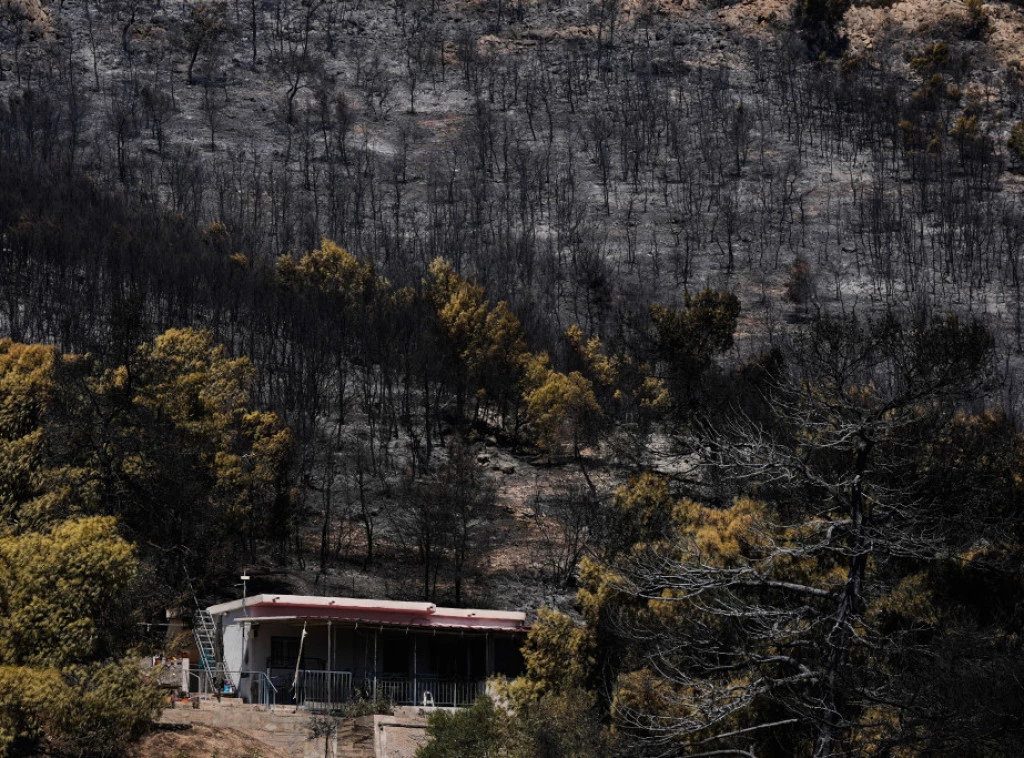 416220_greece-wildfire_f.webp