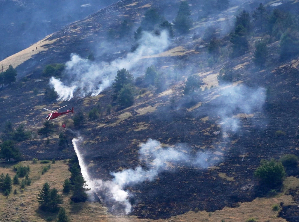 417842_italy-wildfires_f.webp